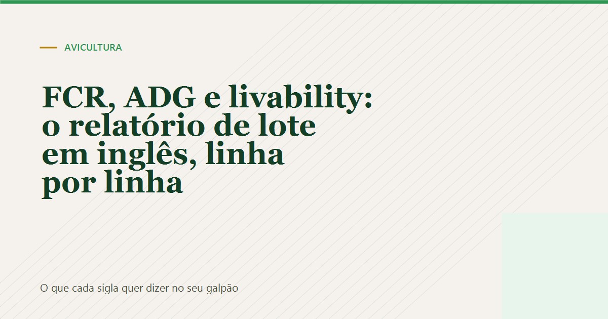 Arte do artigo sobre indicadores do relatório de lote em inglês